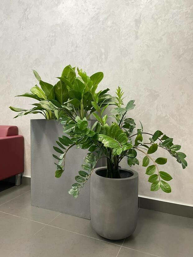 Фото из портфолио АО Банк Россия г. Санкт-Петербург – фотографии дизайна интерьеров на INMYROOM