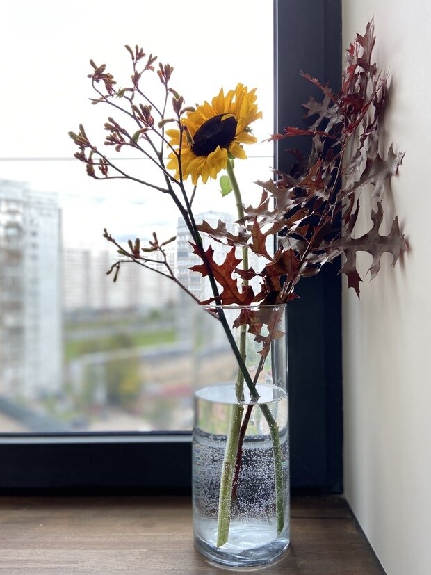 Фото из портфолио Проект трёхкомнатной квартиры для семьи из 4-х человек и Бруно в ЖК «ВандерПарк» – фотографии дизайна интерьеров на INMYROOM