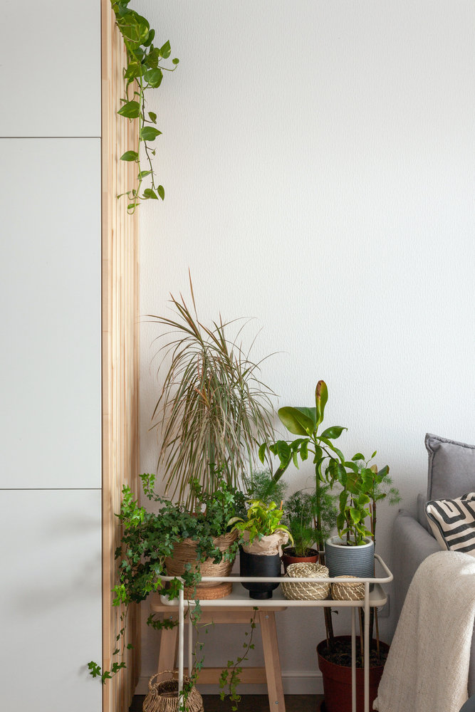 Фотография: Гостиная в стиле Скандинавский, Современный, Малогабаритная квартира, Квартира, Студия, Проект недели, Санкт-Петербург, до 40 метров, Светлана Мельникова – фото на INMYROOM