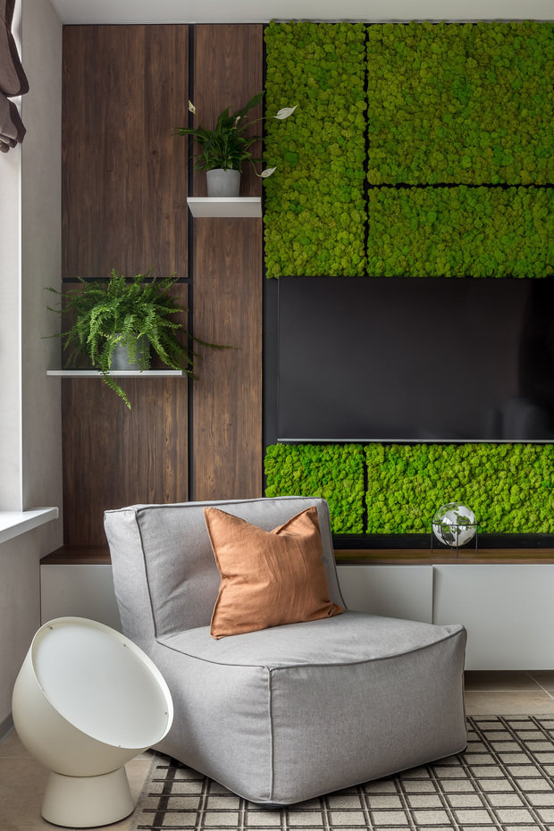 Фотография: Гостиная в стиле Современный, Квартира, Студия, Проект недели, Эко, Самара, Монолитный дом, 40-60 метров, 60-90 метров, Валерия Веселова – фото на INMYROOM