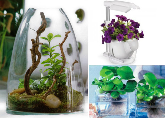 Фото из портфолио Флористика – фотографии дизайна интерьеров на InMyRoom.ru