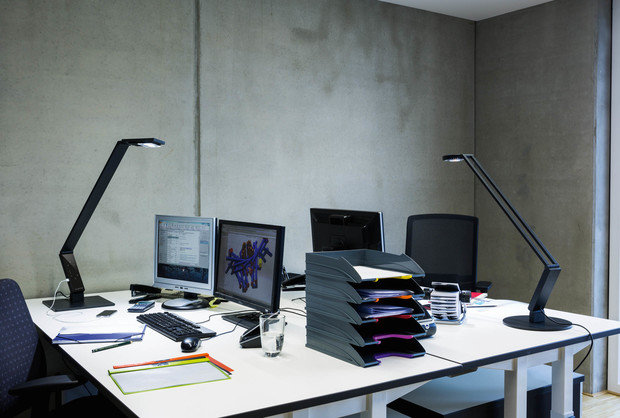 Фото из портфолио LUCTRA: Perfect day light – фотографии дизайна интерьеров на INMYROOM