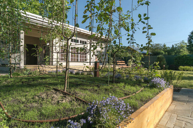 Фотография: Ландшафт в стиле Современный, Стиль жизни, Дача, Дачный ответ – фото на INMYROOM