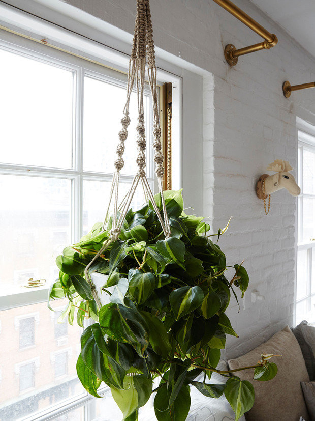 Фото из портфолио "МАМАН" - кафе "с изюминкой" в центре города Нью-Йорка – фотографии дизайна интерьеров на INMYROOM