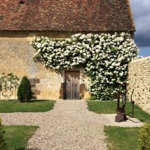 Фото из портфолио Озеленение – фотографии дизайна интерьеров на INMYROOM