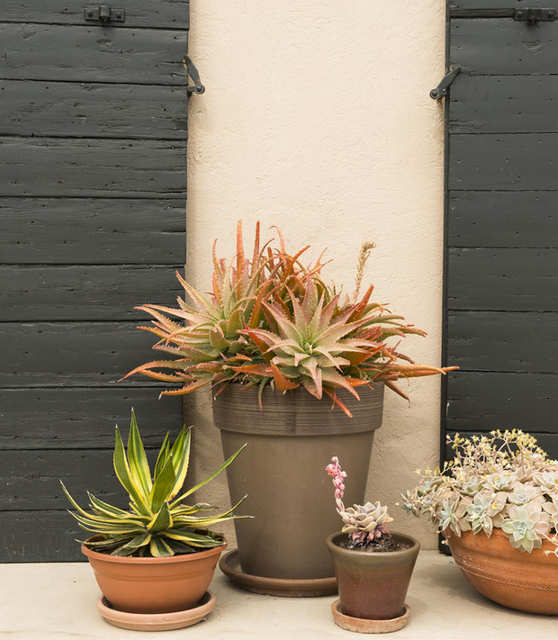 Фото из портфолио Дом в Марселе – фотографии дизайна интерьеров на INMYROOM