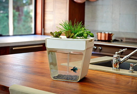 Фотография: Флористика в стиле , Стиль жизни – фото на INMYROOM Фотография: Флористика в стиле , Стиль жизни – фото на INMYROOM