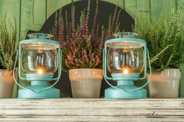 Фотография: Флористика в стиле , Дом, Дома и квартиры, dom-iz-brusa – фото на INMYROOM Фотография: Флористика в стиле , Дом, Дома и квартиры, dom-iz-brusa – фото на INMYROOM