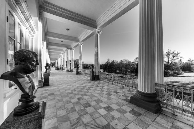Фото из портфолио Царское село – фотографии дизайна интерьеров на InMyRoom.ru