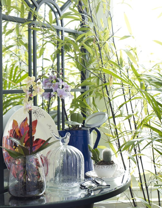 Фото из портфолио Элементы декора в оформлении интерьера – фотографии дизайна интерьеров на INMYROOM