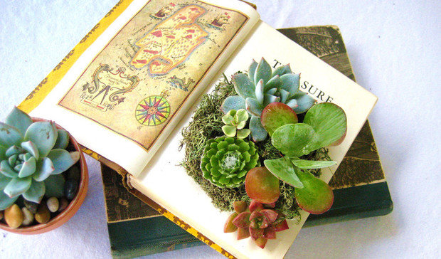 Фотография: Флористика в стиле , Классический, Скандинавский, Современный, Эклектика, Декор интерьера, Дизайн интерьера, Советы, Минимализм, Зеленый, Эко, растения в интерьере, озеленение, флористика – фото на INMYROOM