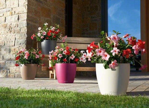 Фото из портфолио Кашпо CLASSICO Color – фотографии дизайна интерьеров на INMYROOM