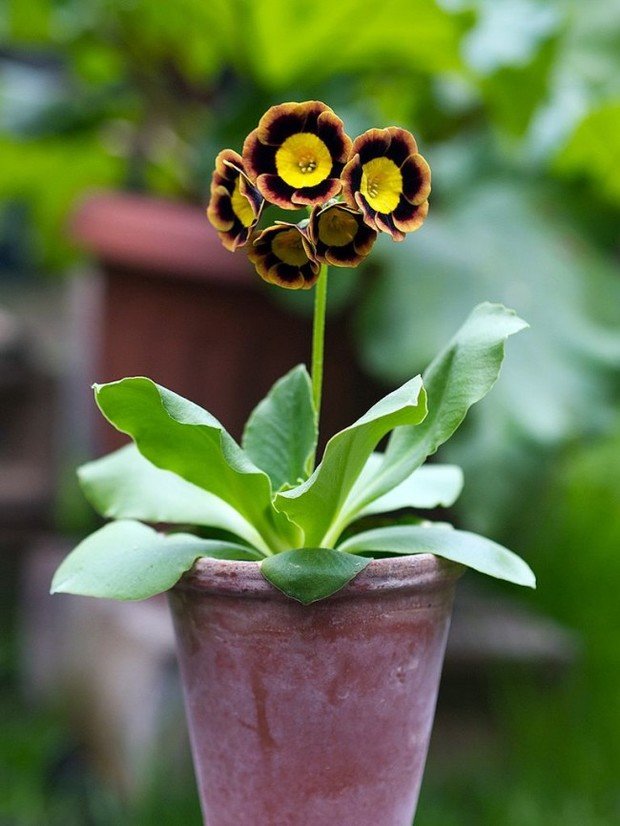 Фото из портфолио Portfolio – фотографии дизайна интерьеров на INMYROOM