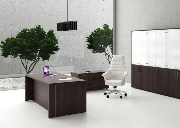 Фото из портфолио Кабинет NORMAN – фотографии дизайна интерьеров на INMYROOM