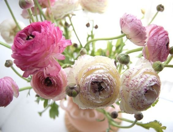 Фотография: Флористика в стиле , Стиль жизни, Декор свадьбы, Цветы – фото на INMYROOM