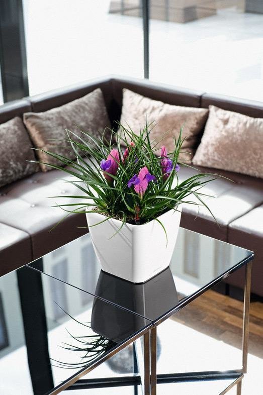 Фото из портфолио Кашпо LECHUZA (Лечуза) QUADRO LS – фотографии дизайна интерьеров на INMYROOM