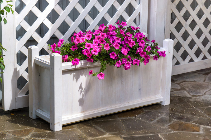 Фотография: Декор в стиле Современный, Дачный ответ, Беседка – фото на INMYROOM Фотография: Декор в стиле Современный, Дачный ответ, Беседка – фото на INMYROOM