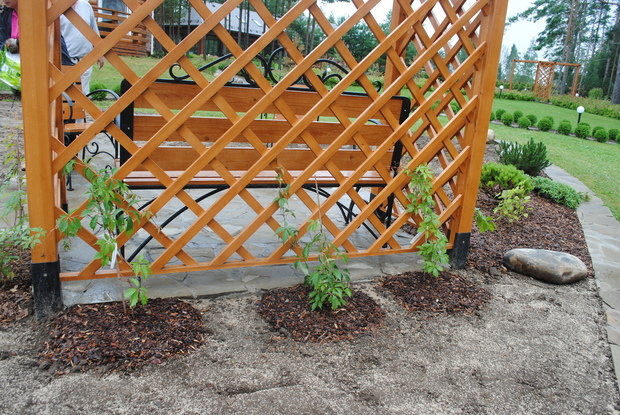 Фото из портфолио Пергола – фотографии дизайна интерьеров на INMYROOM