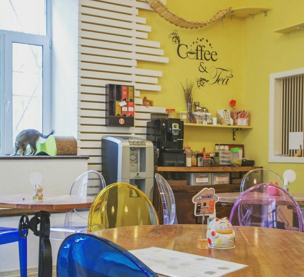 Фото из портфолио Котофейня  – фотографии дизайна интерьеров на INMYROOM