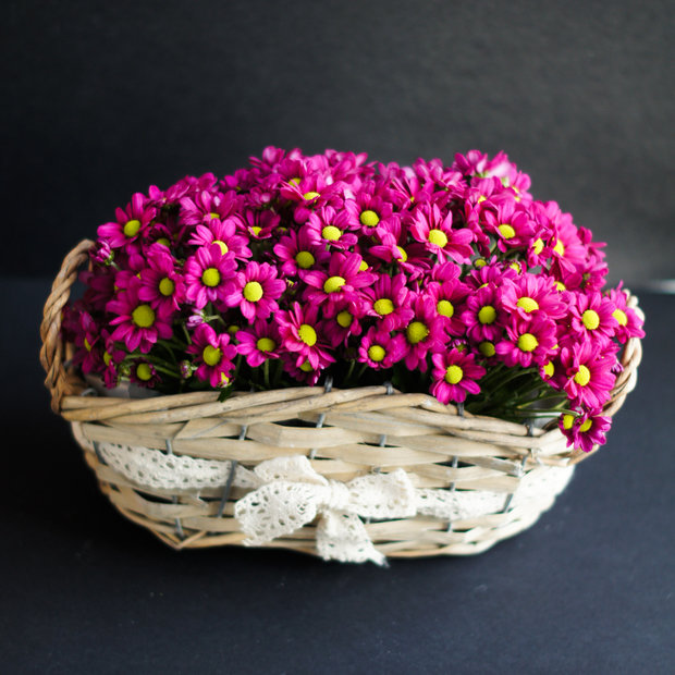 Фото из портфолио Флористика  – фотографии дизайна интерьеров на INMYROOM