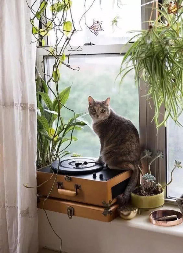 Фотография: Спальня в стиле Современный, Советы – фото на INMYROOM