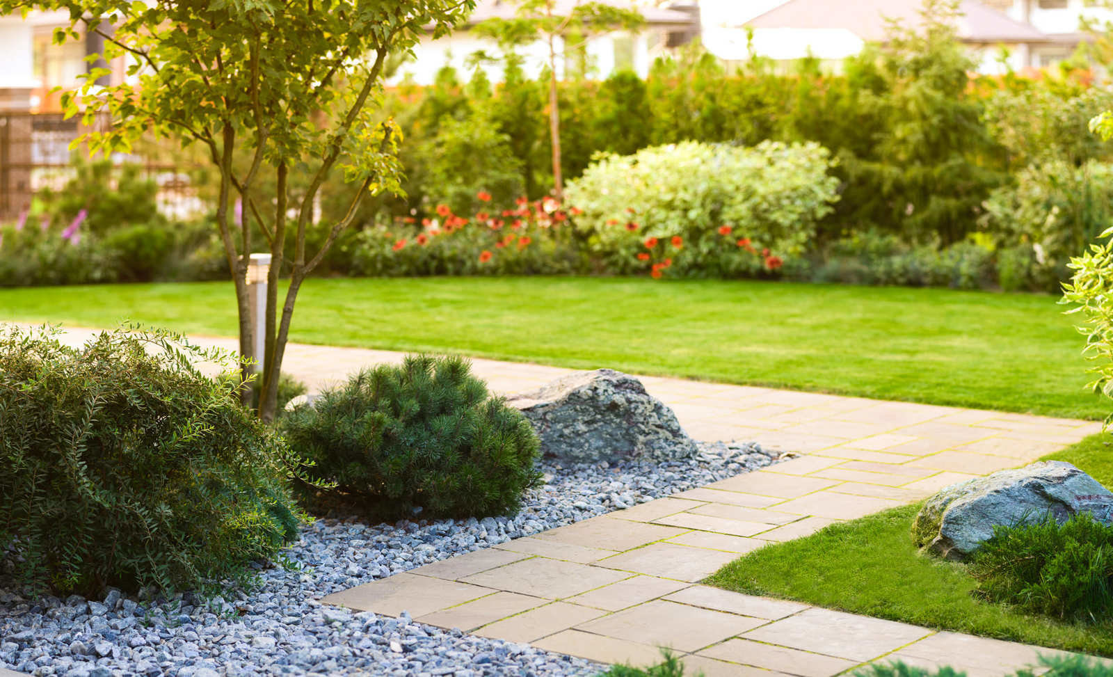 Дизайн: Derevo Park