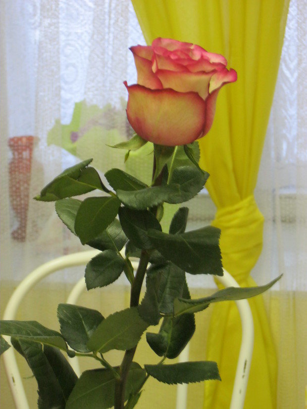 Фото из портфолио Вещи, которые я хочу – фотографии дизайна интерьеров на InMyRoom.ru