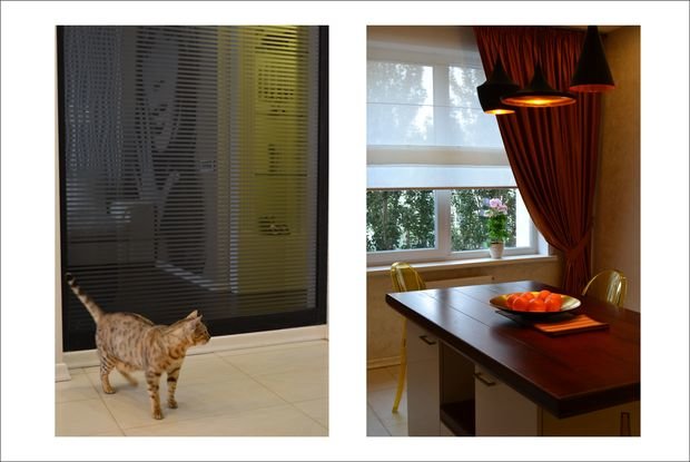 Фото из портфолио КИРОВА – фотографии дизайна интерьеров на InMyRoom.ru
