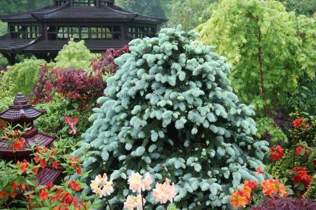 Фото из портфолио Photos – фотографии дизайна интерьеров на INMYROOM