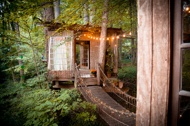 Фото из портфолио ДОМА НА ДЕРЕВЬЯХ : ''Лесной сарайчик'' – фотографии дизайна интерьеров на INMYROOM