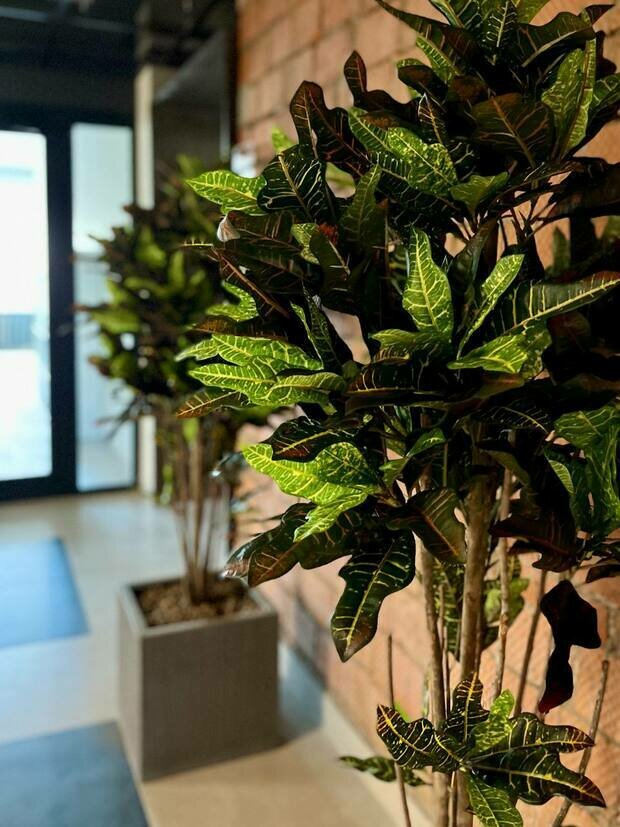 Фото из портфолио Кафедра МАИ г. Москва – фотографии дизайна интерьеров на INMYROOM