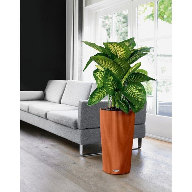 Фото из портфолио LECHUZA CILINDRO Color – фотографии дизайна интерьеров на INMYROOM