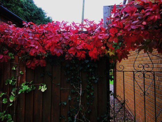 Фотография: Декор в стиле Прованс и Кантри, Классический, Современный – фото на INMYROOM