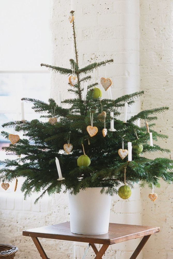 Фотография: в стиле , Гостиная, Декор интерьера, Новый Год, новогодний декор, Леруа Мерлен, Leroy Merlin, Наталья Высоцкая, как украсить интерьер к новому году, как украсить гостиную – фото на INMYROOM Фотография: в стиле , Гостиная, Декор интерьера, Новый Год, новогодний декор, Леруа Мерлен, Leroy Merlin, Наталья Высоцкая, как украсить интерьер к новому году, как украсить гостиную – фото на INMYROOM