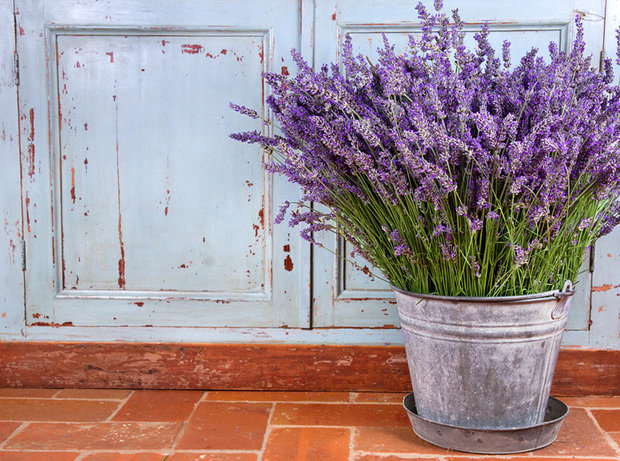 Фото из портфолио Флористика – фотографии дизайна интерьеров на INMYROOM