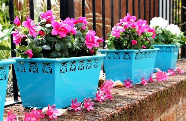 Фотография: Ландшафт в стиле , Балкон, Терраса, Стиль жизни – фото на INMYROOM