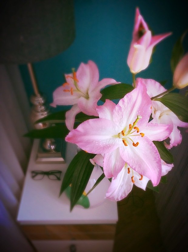 Фотография: Флористика в стиле ,  – фото на INMYROOM