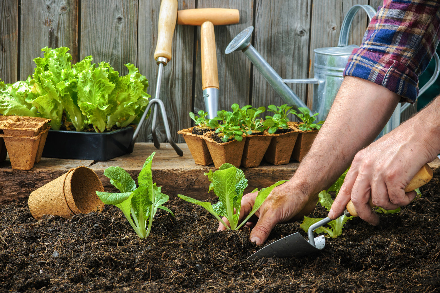 Фотография: в стиле , Ландшафт, Советы, Татьяна Крамская, Технониколь – фото на INMYROOM Фотография: в стиле , Ландшафт, Советы, Татьяна Крамская, Технониколь – фото на INMYROOM