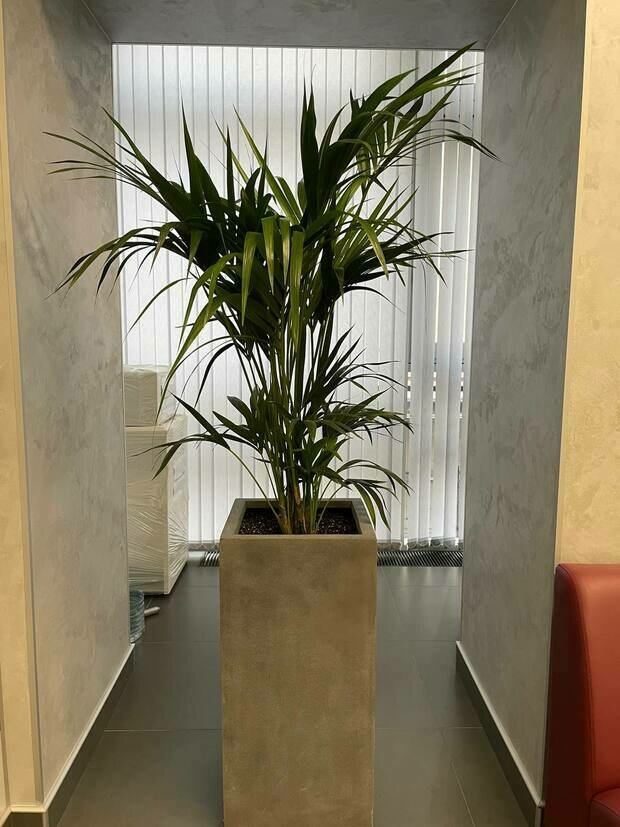 Фото из портфолио АО Банк Россия г. Санкт-Петербург – фотографии дизайна интерьеров на INMYROOM