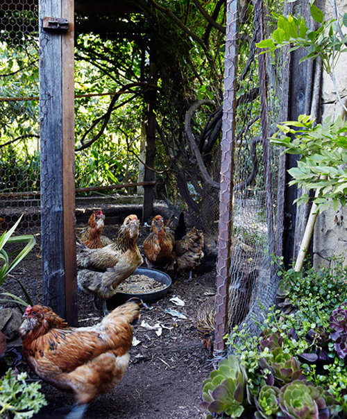 Фотография: Ландшафт в стиле , Стиль жизни, Советы, Проект недели, Маргарита Алексеева, Green Buro – фото на INMYROOM