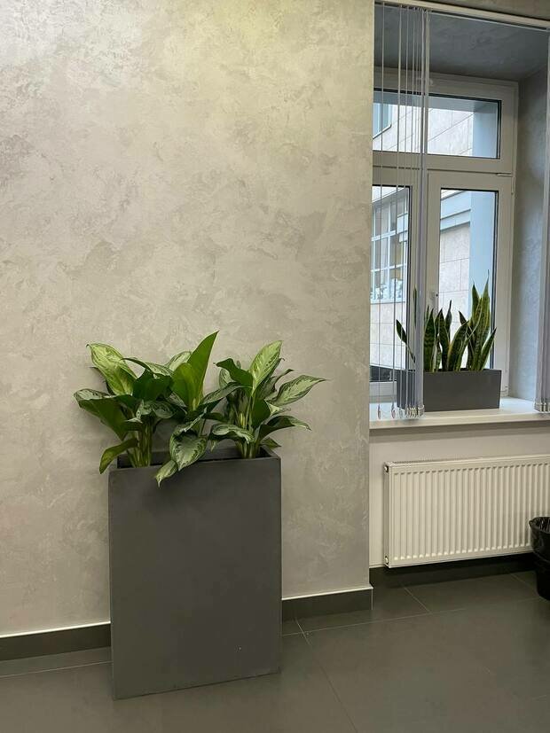 Фото из портфолио АО Банк Россия г. Санкт-Петербург – фотографии дизайна интерьеров на INMYROOM