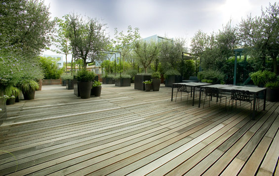 Фотография: Терраса в стиле Современный, Восточный, Лофт, Квартира, Цвет в интерьере, Дома и квартиры, Черный, Красный – фото на INMYROOM