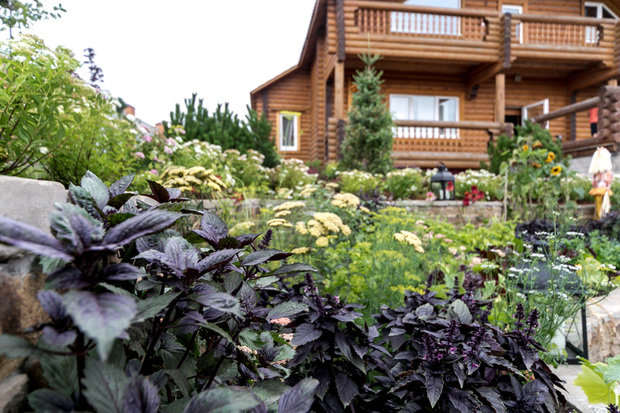 Фотография: Ландшафт в стиле Прованс и Кантри, Современный, Стиль жизни, Дачный ответ – фото на INMYROOM