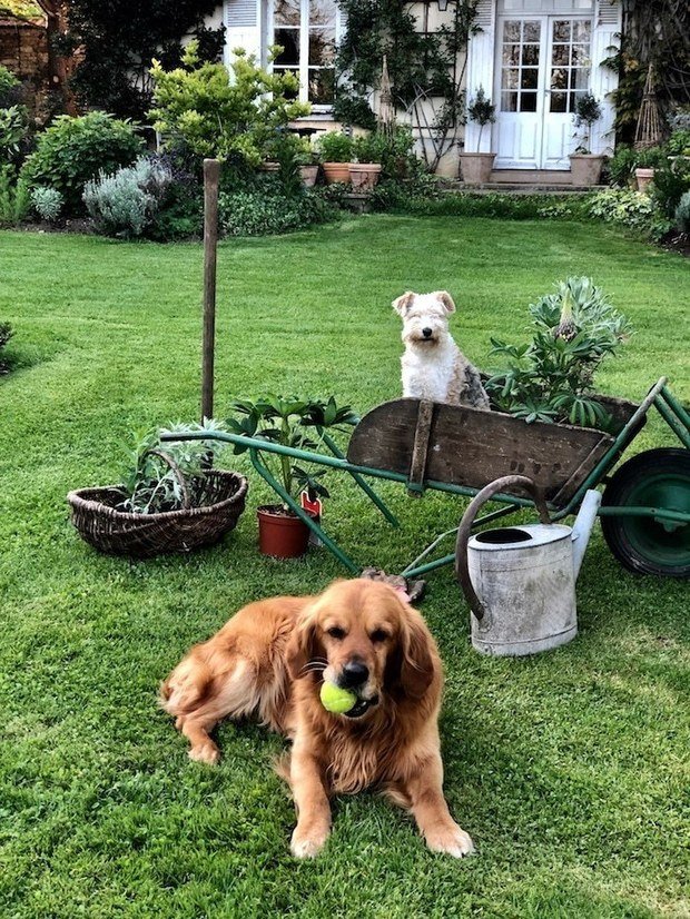Фотография: Ландшафт в стиле , Советы, энциклопедия_правовые_вопросы, Юрий Крюков – фото на INMYROOM