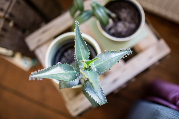 Фото из портфолио Трёшка в Берлине – фотографии дизайна интерьеров на INMYROOM