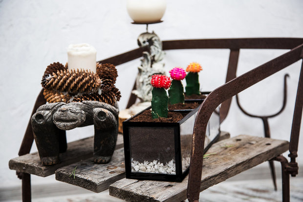 Фотография: Флористика в стиле , Декор интерьера, Советы, растения в интерьере, Vibe Life Technologies – фото на INMYROOM