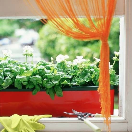 Фотография: Флористика в стиле , Декор интерьера, Декор дома – фото на INMYROOM