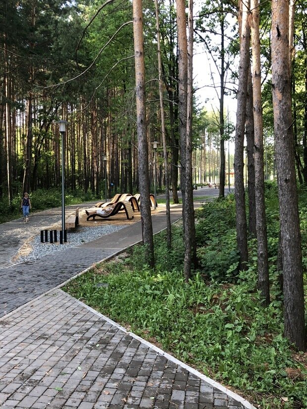 Ландшафт в стиле эко