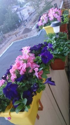 Фото из портфолио Ландшафтные работы ... на балконе – фотографии дизайна интерьеров на INMYROOM