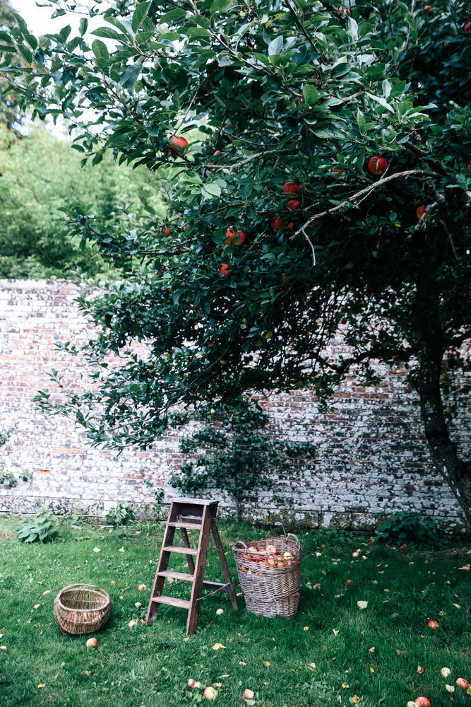 Фотография: в стиле , Советы, Сад, работы в саду – фото на INMYROOM Фотография: в стиле , Советы, Сад, работы в саду – фото на INMYROOM